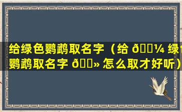 给绿色鹦鹉取名字（给 🐼 绿色鹦鹉取名字 🌻 怎么取才好听）